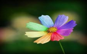 Thay đổi để tốt hơn